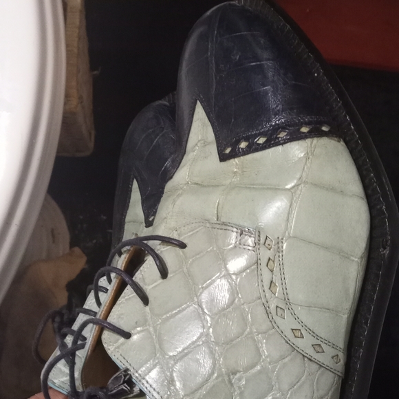 Exclusive Mauri alligator shoes for City Slickers shoe store - Picture 8 of 9